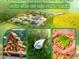 No More Worries About Fuel Shortages – Phong Thai Thuan Wood Pellets Always Ensure Long-Term Supply and Consistent Quality.