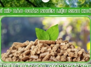 Discover the surprising benefits of Phong Thai Thuan wood pellets – the optimal solution for industrial boilers.
