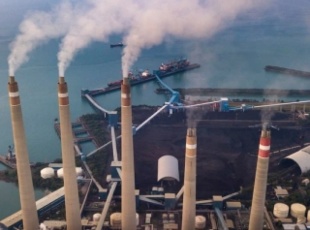 Indonesia Promotes Biomass Co-firing in Coal-Fired Power Plants