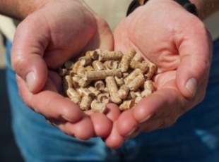 Top 6 Reputable Suppliers of Rice Husk Logs, Wood Pellets, Wood Chips, and Sawdust in Long An
