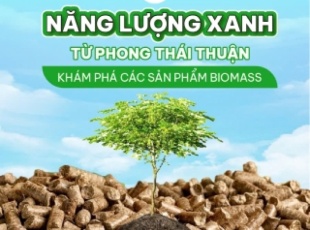 Boiler Fuel – An Efficient and Sustainable Fuel Solution from Phong Thai Thuan