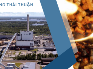KCP Vietnam Expands Biomass Project in Phu Yen: A New Step Forward in Green Energy Development