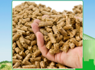 Tay Ninh Wood Pellet Manufacturing Company is a reputable company