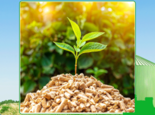 Providing high-quality biomass raw materials at good prices in Long An