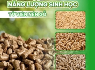 Wood Pellets – A Sustainable Biofuel Source from Phong Thai Thuan