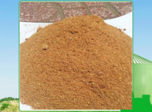 Price of quality sawdust in Long An