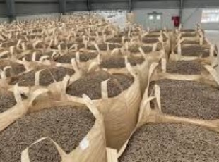 Vietnam's Carbon Market: Opportunities and Challenges in the Green Transition Journey