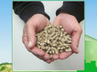 Saving costs when buying wood pellets in Tay Ninh