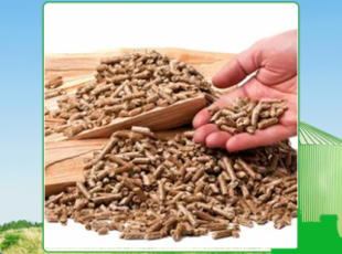 Choose the most suitable wood pellet supplier in Tay Ninh