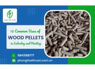 Wood Pellets: An Effective Bedding Solution for Livestock