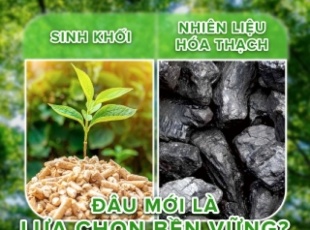 Beware of Cheap Wood Pellets: A Safe Fuel Solution from Phong Thai Thuan