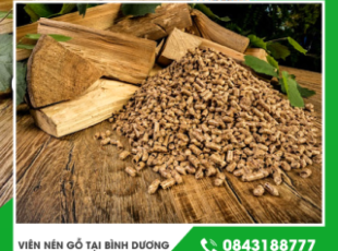 Wood pellets in Binh Duong: an eco-friendly biomass fuel source.