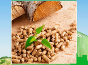 Assessing the quality of currently exported wood pellets