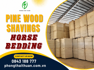 WS-02 Pine Wood Shavings – Horse Bedding | Phong Thai Thuan