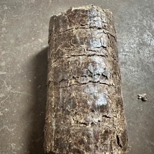  D90 SAWDUST FIREWOOD