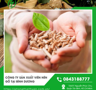 Công ty sản xuất viên nén gỗ tại Bình Dương chất lượng cao giá cạnh tranh