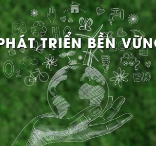 Phát Triển Bền Vững Là Gì? Các Nguyên Tắc Và Tiêu Chí Đánh Giá