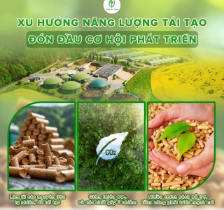 Không Còn Nỗi Lo Thiếu Nhiên Liệu – Viên Nén Gỗ Từ Phong Thái Thuận Luôn Đảm Bảo Nguồn Cung Dài Hạn Và Chất Lượng Ổn Định