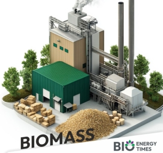 Thúc Đẩy Phát Triển Bền Vững Ngành Dệt May Và Da Giày Tại Việt Nam