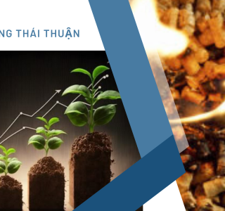 Việt Nam Bổ Sung Năng Lượng Sinh Khối Vào Cơ Chế Mua Bán Điện Trực Tiếp (DPPA)