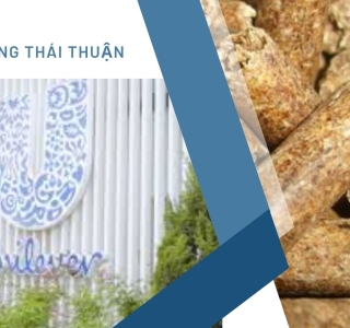 Unilever Việt Nam và Biomass: Hành Trình Xanh Hóa Năng Lượng