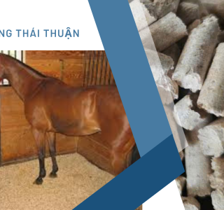 Viên Nén Gỗ: Giải Pháp Lót Chuồng Hiệu Quả Cho Vật Nuôi