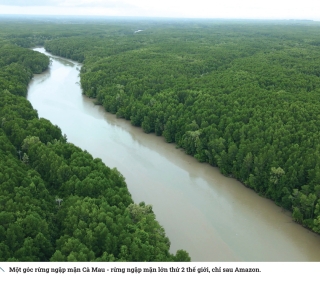 🔥 Vệ Tinh Đo Lường Sinh Khối Rừng Airbus: Cách Mạng Giám Sát Rừng & Tương Lai Năng Lượng Sinh Khối 🌍🌱