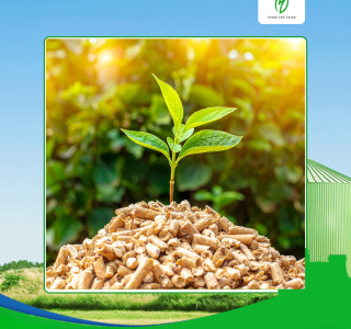 Cung cấp nguyên liệu sinh khối chất lượng giá tốt tại Long An