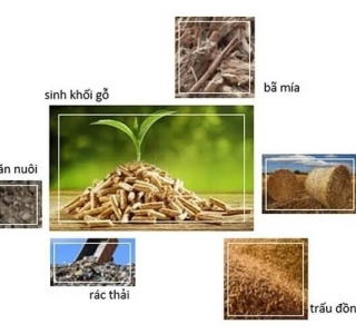 Năng lượng sinh khối: Giải pháp bền vững cho tương lai