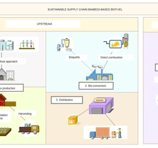Bamboo Biomass – Giải Pháp Năng Lượng Sinh Khối Bền Vững Từ Phong Thái Thuận