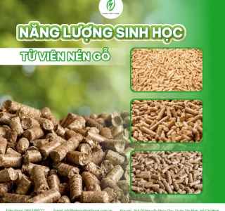 Viên Nén Gỗ: Có Đáng Để Các Doanh Nghiệp Chuyển Đổi Ngay Bây Giờ Không?