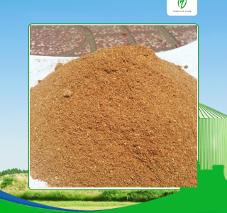 Giá mùn cưa chất lượng tại Long An