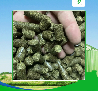 Cập nhật giá viên nén gỗ tại Tây Ninh mới nhất