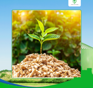 Giá viên nén gỗ tại Tây Ninh tiết kiệm chi phí