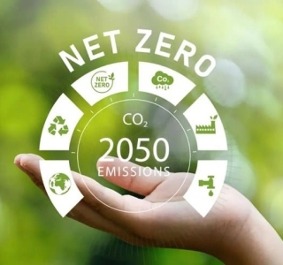 Chuyển Đổi Xanh: Thách Thức Và Giải Pháp Từ Phong Thái Thuận