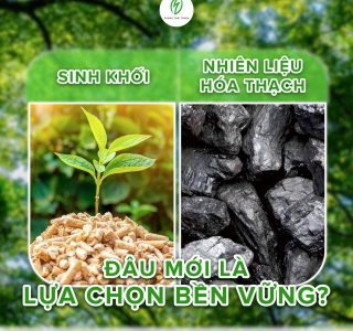 Cẩn Thận Với Viên Nén Gỗ Giá Rẻ: Giải Pháp Nhiên Liệu An Toàn Từ Phong Thái Thuận