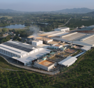 Acecook Việt Nam – Hành Trình Phát Triển Bền Vững Trong Kỷ Nguyên Xanh