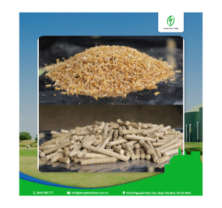 Chuyển Đổi Sang Nhiên Liệu Sinh Khối: Giải Pháp Xanh Cho Tương Lai Bền Vững