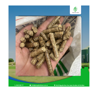 Thực Trạng Thị Trường Viên Nén Gỗ: Loại 3 Giảm Giá, Loại 1 Khan Hiếm, Xuất Khẩu Chậm