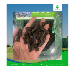 Viên Nén Bã Điều Vón Cục Trước Khi Đốt: Nguyên Nhân Và Giải Pháp