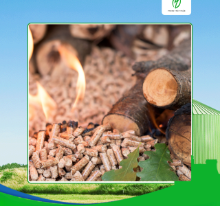 Chọn lựa viên nén gỗ cao su tại Tây Ninh tốt nhất