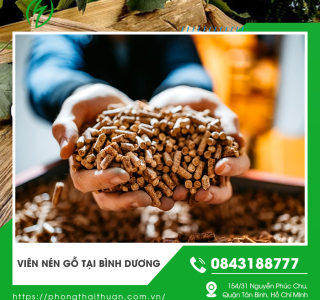 Viên nén gỗ xuất khẩu tại Bình Dương chất lượng cao đáp ứng tiêu chuẩn quốc tế