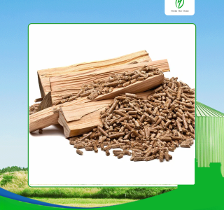 Đánh giá chất lượng viên nén gỗ xuất khẩu Tây Ninh