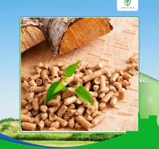 Đánh giá chất lượng viên nén gỗ xuất khẩu hiện nay