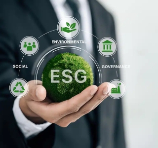 Hiệu Quả Của Nhiên Liệu Sinh Khối Trong Ngành Chế Biến Thực Phẩm