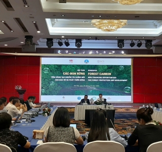 Thị Trường Các Bon - Tiềm Năng Tạo Nguồn Tài Chính Mới Cho Bảo Vệ Và Phát Triển Rừng