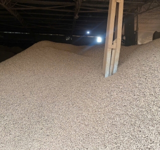 Viên Nén Gỗ Giá Rẻ – Giải Pháp Tiết Kiệm Nhiên Liệu Tối Ưu Cho Doanh Nghiệp