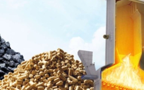 Nhiên Liệu Biomass – Giải Pháp Năng Lượng Bền Vững Từ Phong Thái Thuận