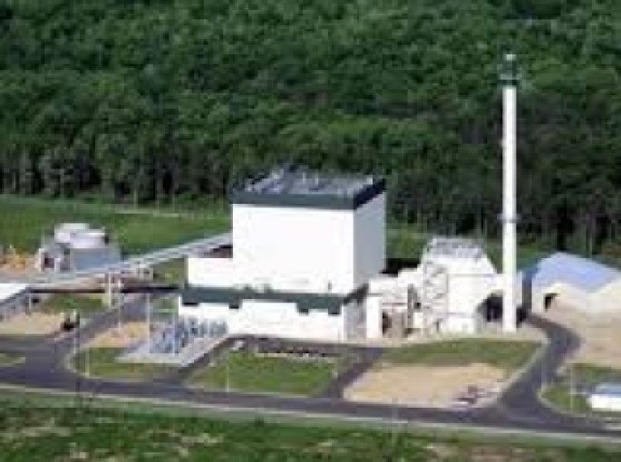 Nhiên liệu sinh khối Biomass là gì ?