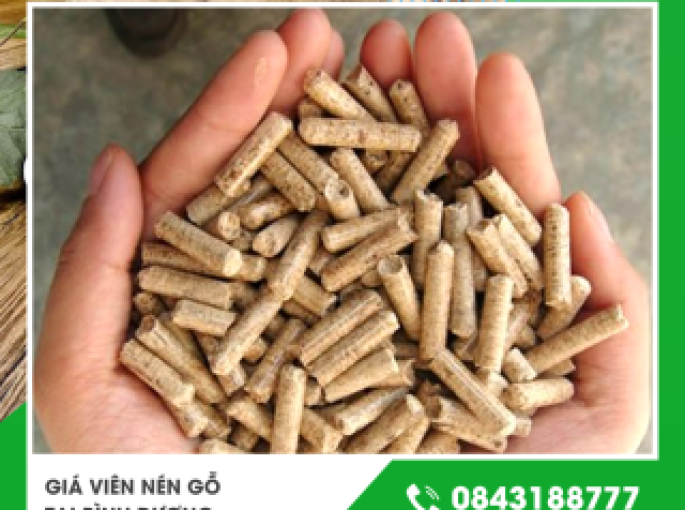 Giá viên nén gỗ tại Bình Dương cập nhật mới nhất chất lượng đảm bảo